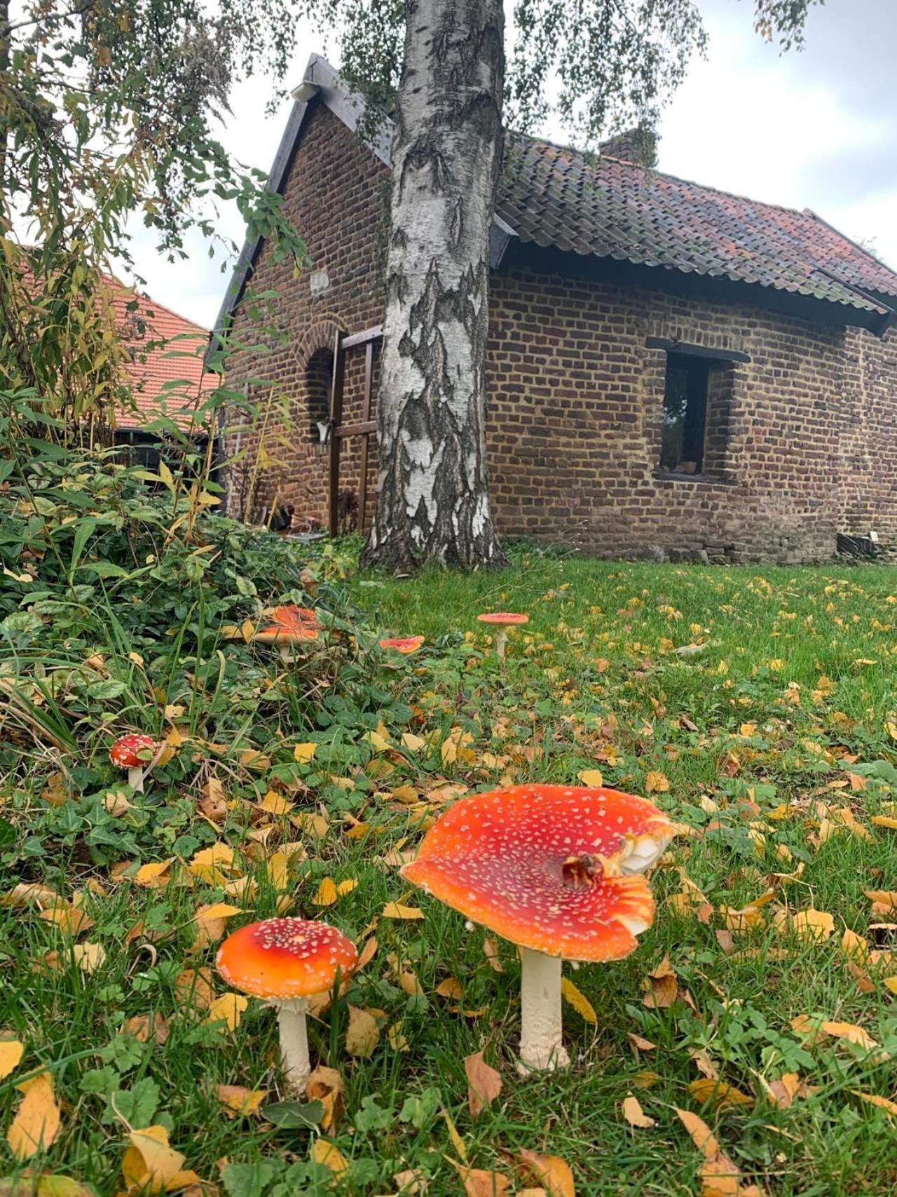 B&B En Vakantiewoningen 'T Wienhoes Wittem Exterior foto